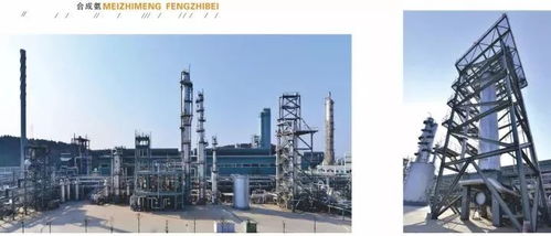 四川美豐一項(xiàng)關(guān)鍵化工工藝通過(guò)科技成果鑒定，引領(lǐng)行業(yè)綠色高效發(fā)展